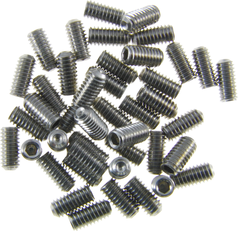 M4 X 8mm Grub Screw SS