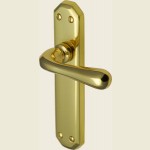 Leyton Charlbury Polished Brass Door Handles