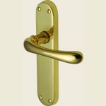 Mansfield Woodhouse Luna Polished Brass Handles