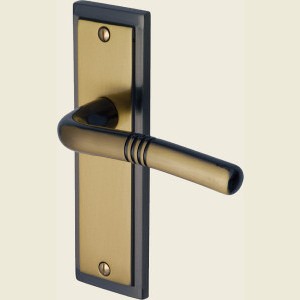 South Woodford Dual Finish Door Handles