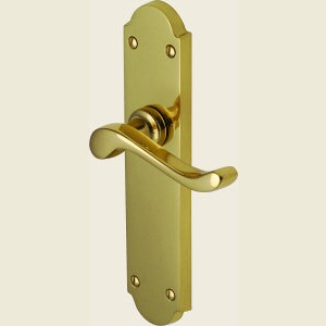  Savoy Polished Brass Long Plate Door Handles