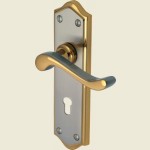 Buckingham Jupiter Split Finish Euro Profile Handles