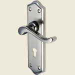 Buckingham Mercury Split Finish Euro Profile Handles