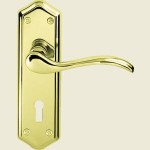 Crewkerne Paris Polished Brass Door Handles