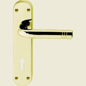 Newport Pagnell Porto Polished Brass Door Handles