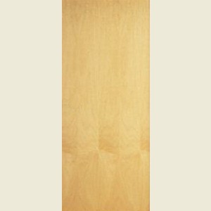 21 x 78 Ash Veneer FD30 Fire Door