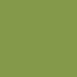 Kiwi Green Laminate Sheet 3050 x 1310mm