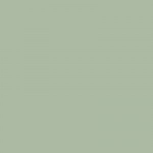 Sage Green Matt Laminate Sample
