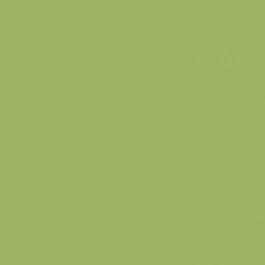 Leaf Green Formica Sample