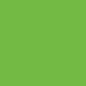 Vibrant Green Laminate Sheet 3050mm X 1300mm